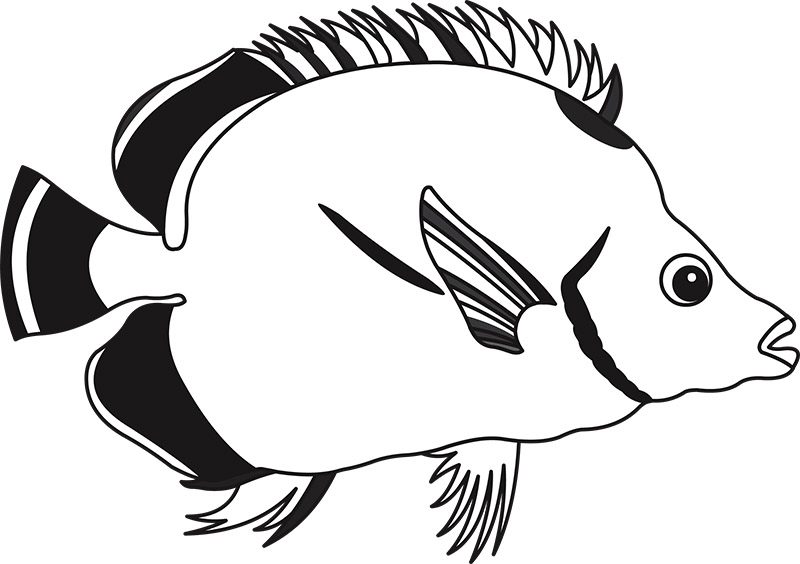 Black-and-white line drawing of a tropical fish with striped fins and spiky dorsal fin.