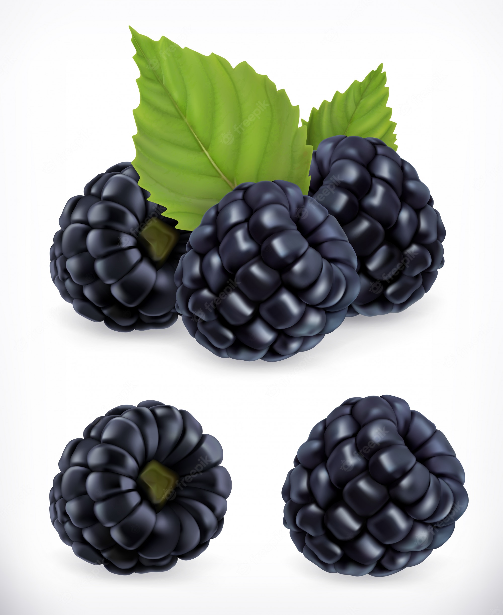 Five glossy blackberries with green leaves on a white background, highly detailed and realistic.