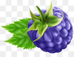 A vibrant purple raspberry with fresh green leaves and calyx, isolated on transparent background.