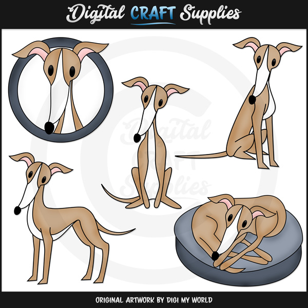 Six cartoon-style greyhound illustrations in various poses: standing, sitting, lying, and framed portrait.