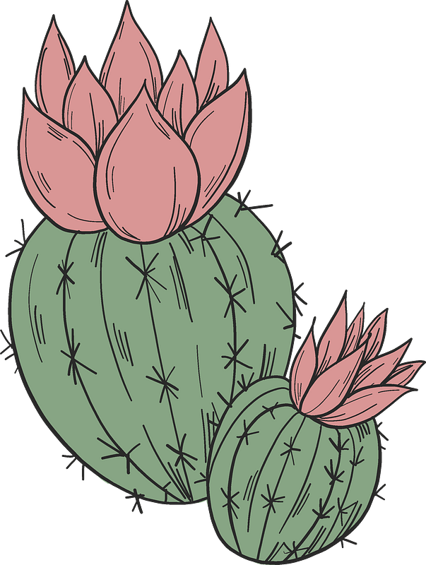 Blooming Cactus Illustration - Free Download & Usage Guide