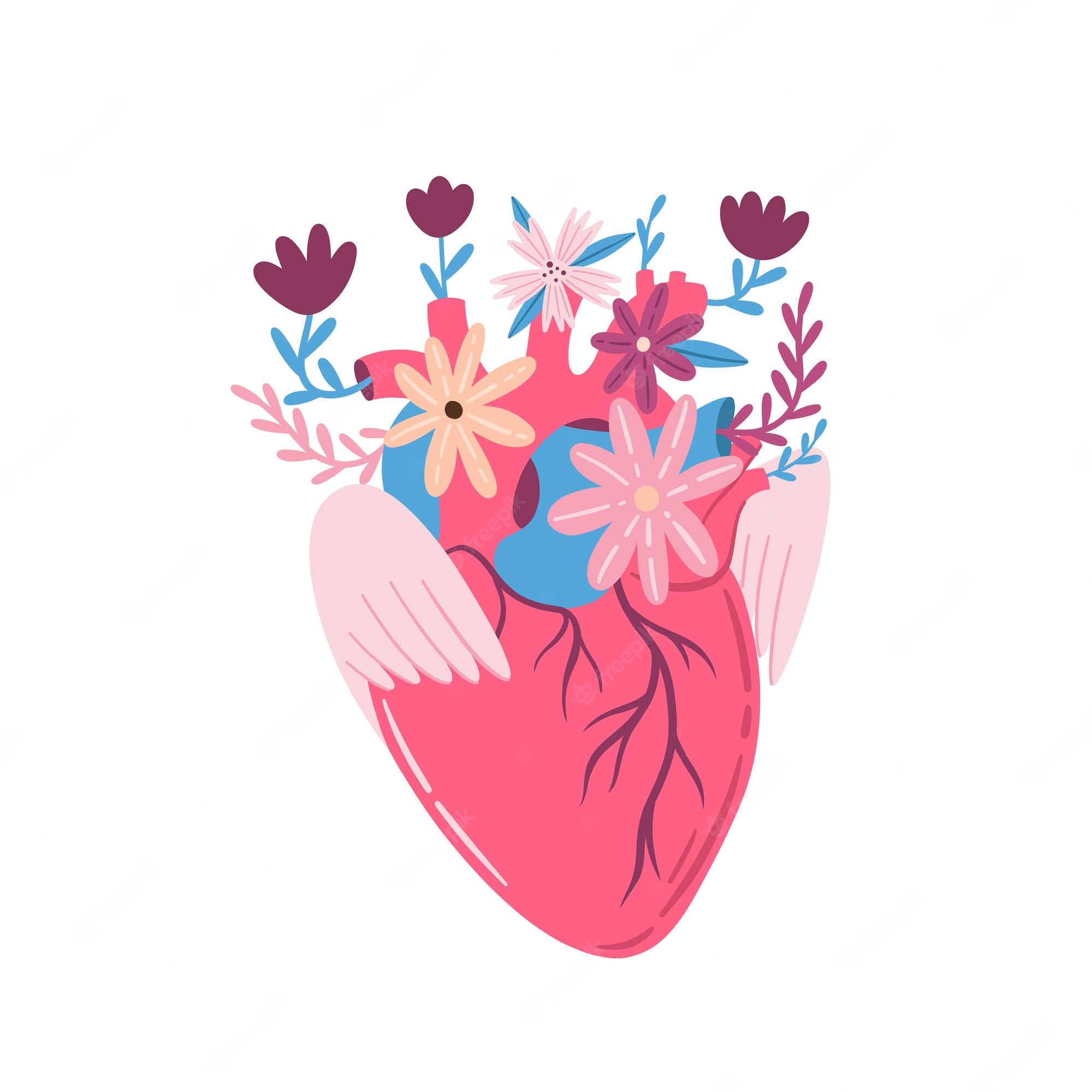 Human Heart Clipart SVG Cut File | Heart Svg | Realistic Heart Svg