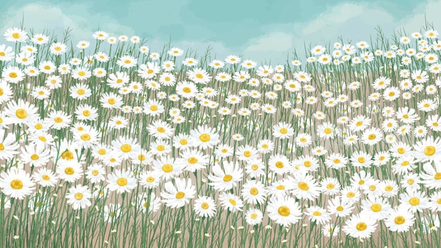 A serene field of white daisies with yellow centers swaying in gentle breeze under a soft blue sky.
