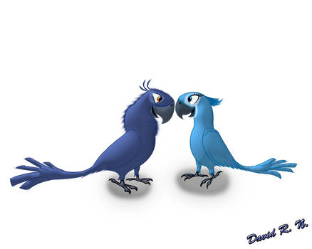 Two animated blue macaws facing each other, one darker and one lighter, in a friendly pose on white background.