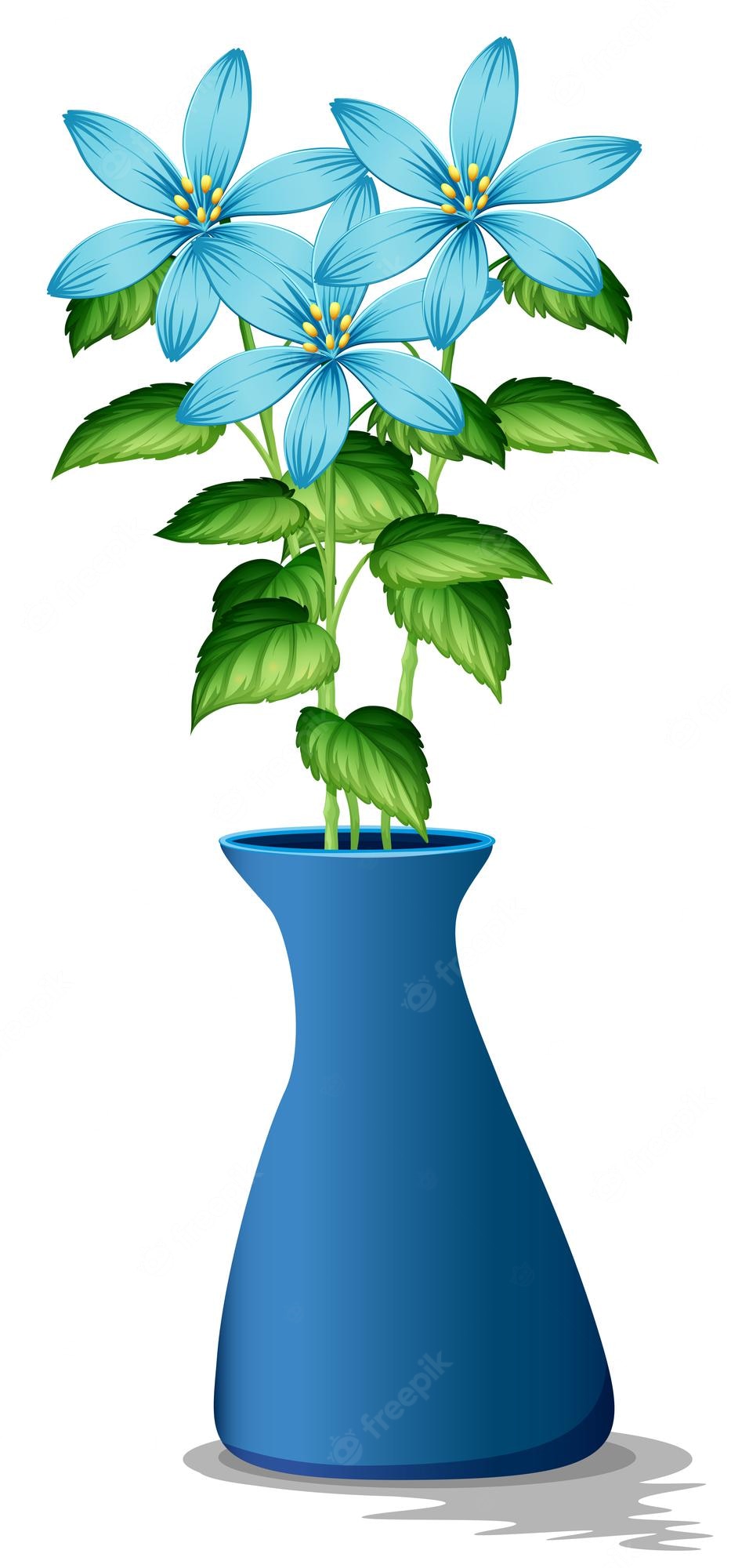 Blue six-petaled flowers with yellow stamens in a blue vase, surrounded by green leaves on white background.