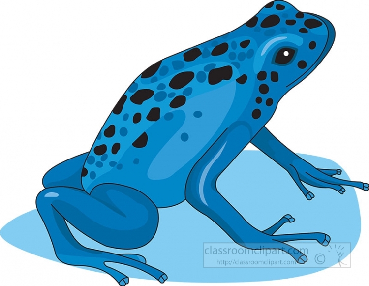 teal frogs - Clip Art Library