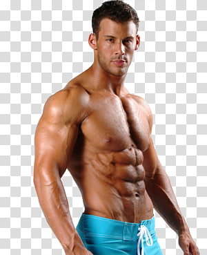 Natural Bodybuilding png images | PNGEgg