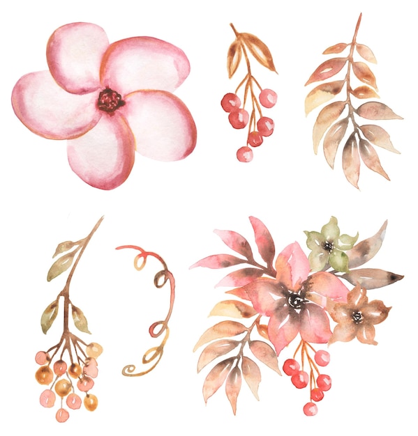 Watercolor floral illustration featuring pink flowers, autumn leaves, and red berries on white background.