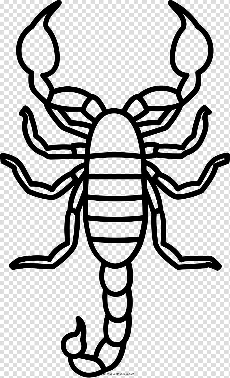 6,700+ Scorpion Illustrations, Royalty-free Vector Graphics & Clip 