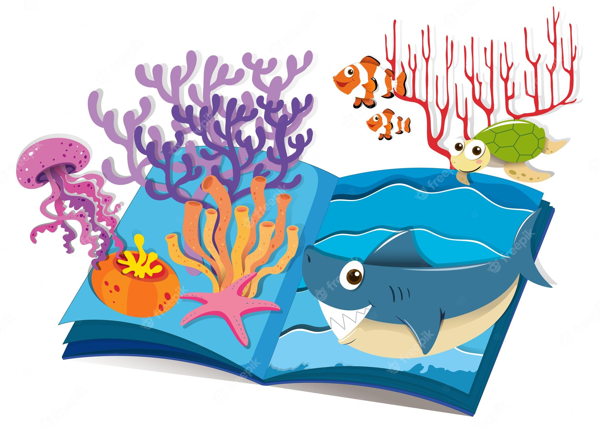 ocean books - Clip Art Library