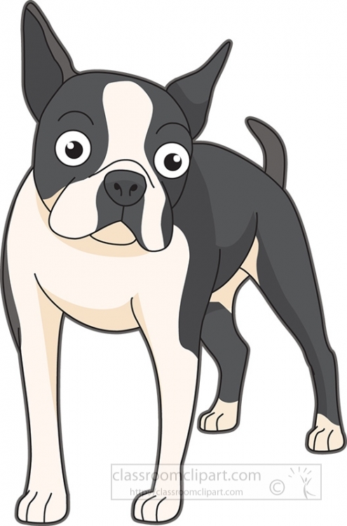 Boston Terrier Clip Art - Free Download for Educational & Personal Use