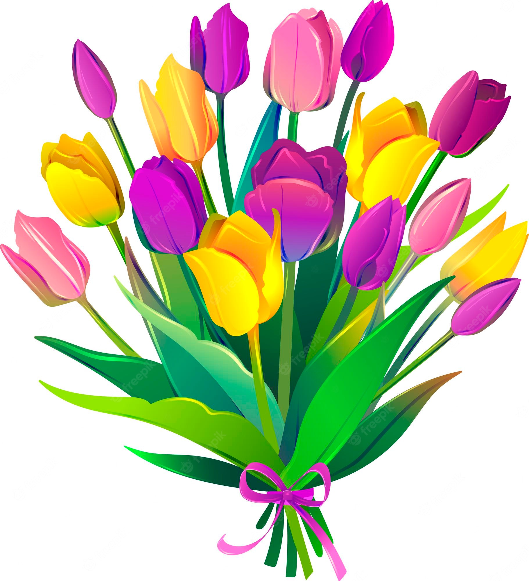 Premium Vector | Bouquet of tulips flowers beauty spring - Clip Art Library
