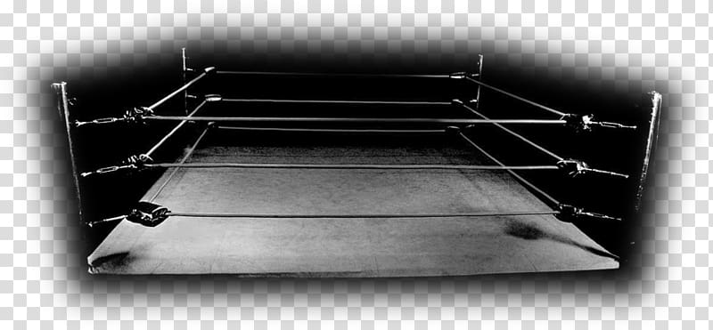 Black-and-white photo of an empty vintage boxing ring with ropes and canvas under dramatic lighting.