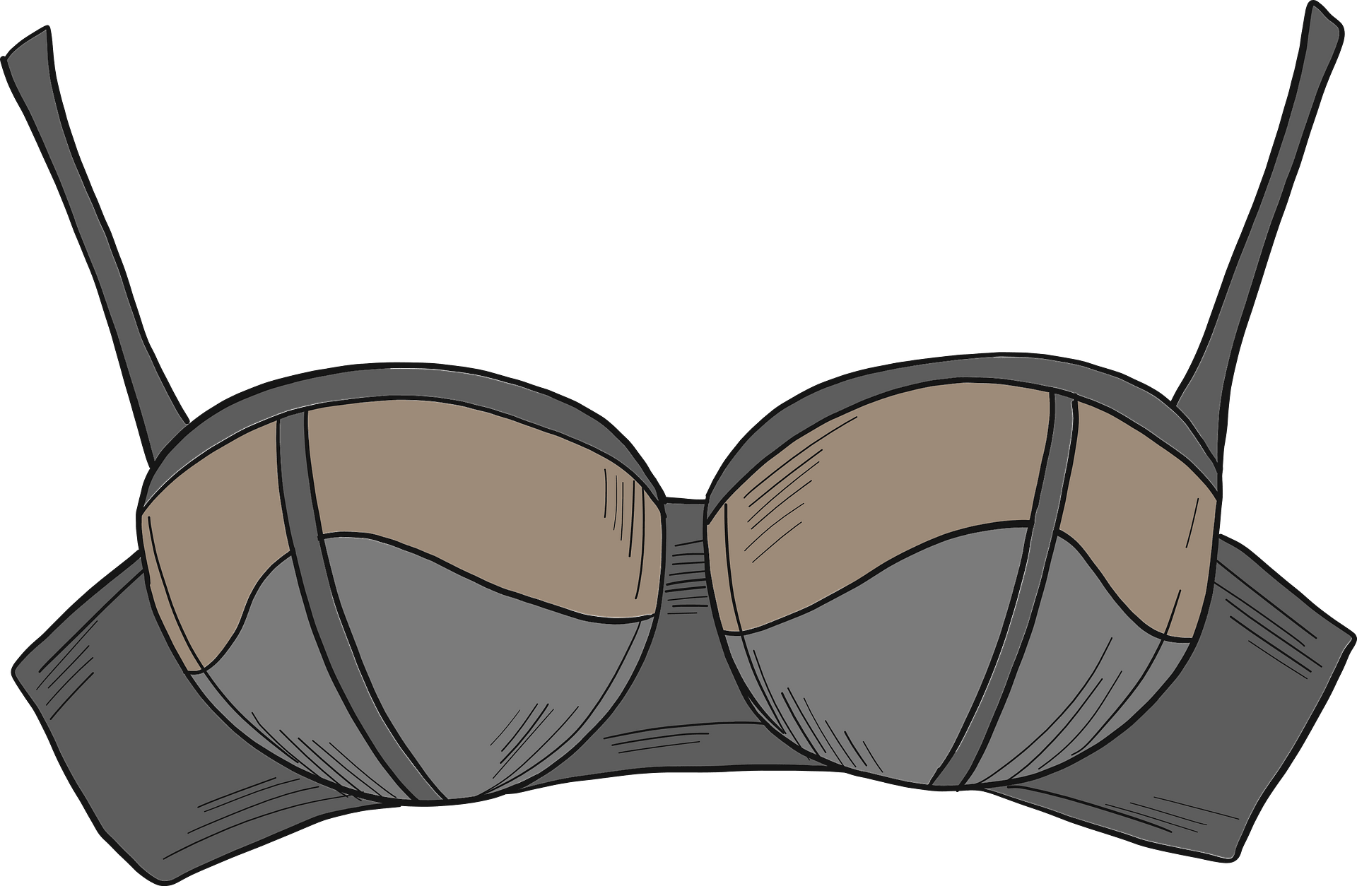 Bra Vector PNG, Vector, PSD, and Clipart With Transparent Background for  Free Download