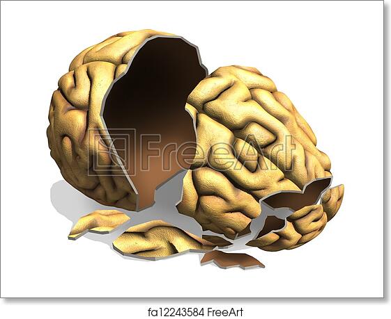 A cracked open human brain model revealing its inner structure, symbolizing breakthrough thinking or cognitive insight.