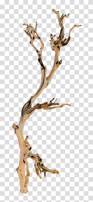 Twig Clipart Vector, A Twig, Branch, Deadwood, Branches And Leaves