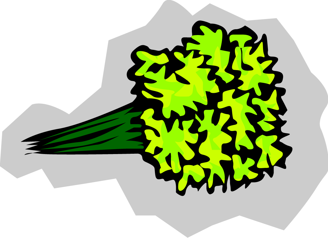 Fresh Leafy Greens Illustration - Vibrant Vegetable Clipart