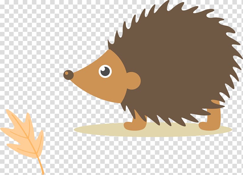Cute cartoon hedgehog sniffing a fallen autumn leaf on transparent background.