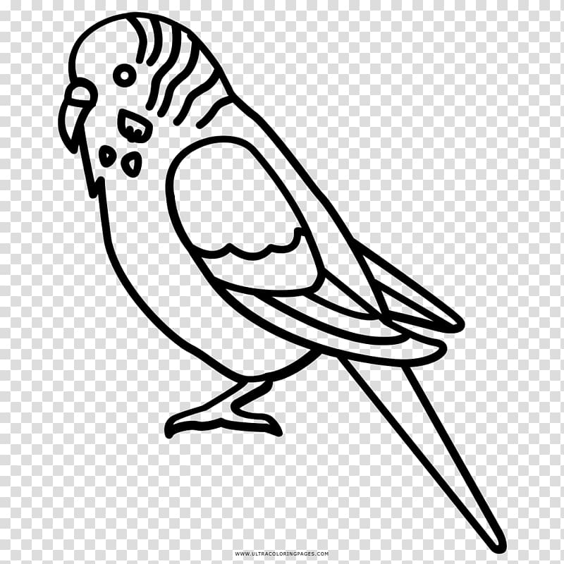 Line drawing of a budgerigar (parakeet) in profile, showing striped head, beak, wing, and long tail on transparent background.