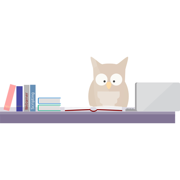 An illustrated owl sits at a desk with books labeled SEO, Webserver, Scripting, and a laptop, symbolizing tech learning or coding education.