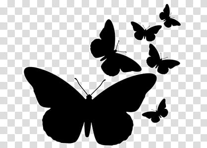 Black Butterfly Clipart | Free Images at Clker.com - vector clip - Clip ...