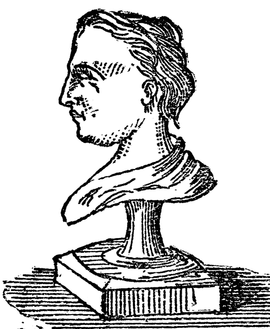 Classical Bust Illustration - Historical Art Print & Educational Resource