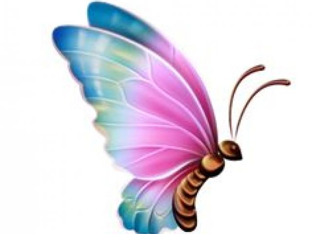 Colorful Butterfly Illustration - Artistic Insect Design for Creative Projects