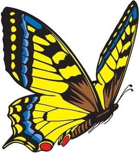 Vibrant yellow and blue swallowtail butterfly with black markings and red spots on hindwings, illustrated in stylized vector art.