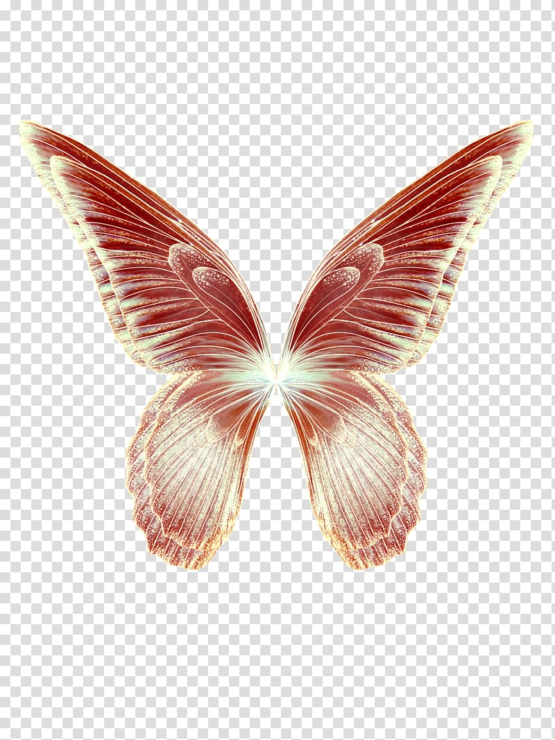 Ethereal red and gold butterfly wings with luminous veining and translucent edges on transparent background.