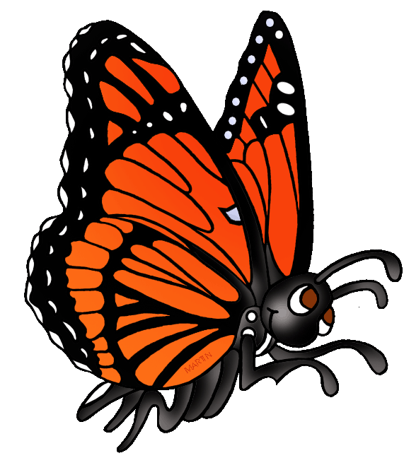 Monarch Butterfly Illustration - Free Clipart for Education & Design