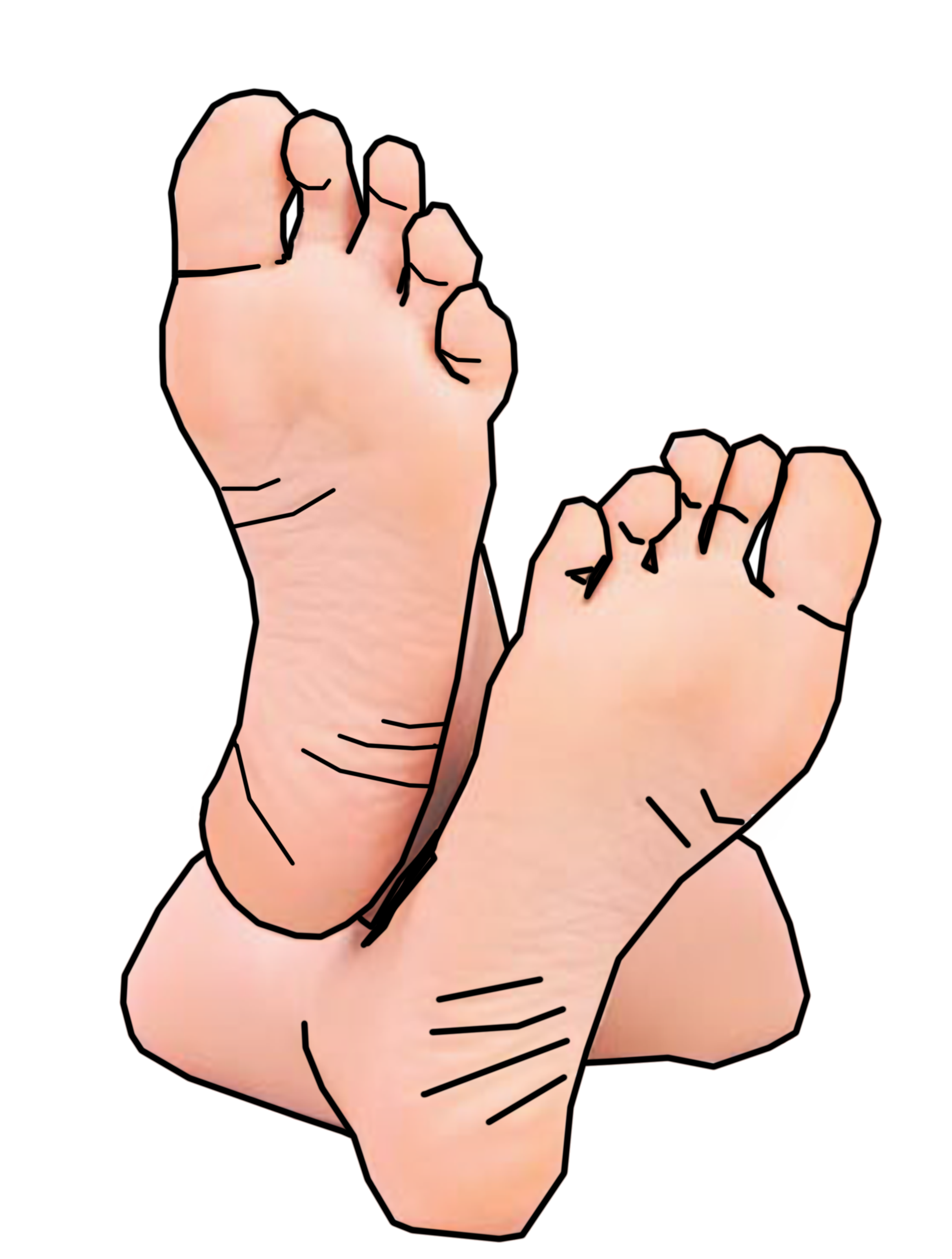 Human Foot Anatomy Diagram - Educational Illustration for Health & Wellness