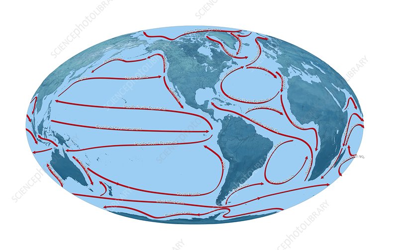 World Ocean Currents Map - Major Surface Currents and Gyres Explained