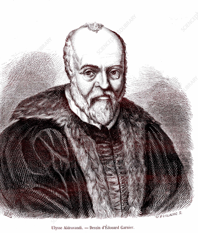 Engraved portrait of Ulysse Aldrovandi, 16th-century Italian naturalist, wearing fur-trimmed robe, by Édouard Garnier.
