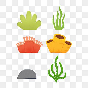 Six colorful cartoon-style marine organisms including coral, seaweed, and sea sponges on transparent background.