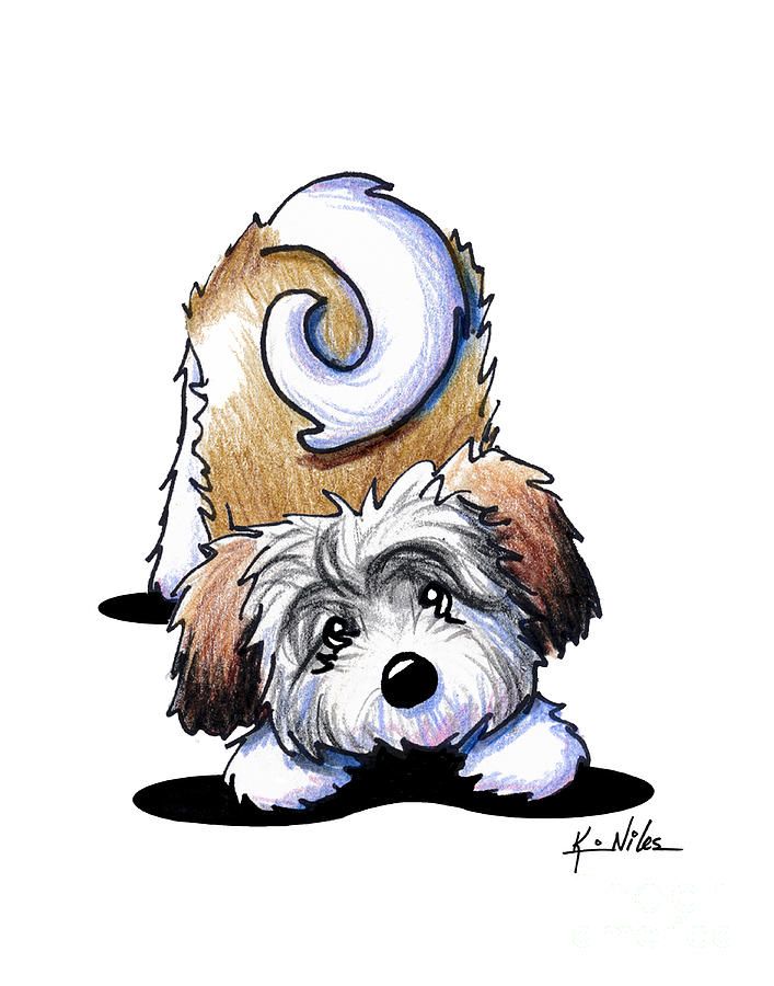 A whimsical cartoon-style drawing of a fluffy brown-and-white dog lying down with a large, spiraled tail curling above its head.