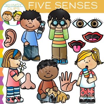 Five diverse children illustrating the five senses-sight, hearing, smell, taste, and touch-with corresponding icons and actions.