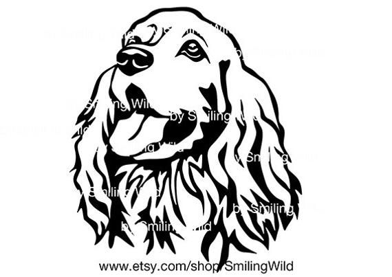 30+ Cocker Spaniel Black And White Illustrations, Royalty-Free - Clip ...