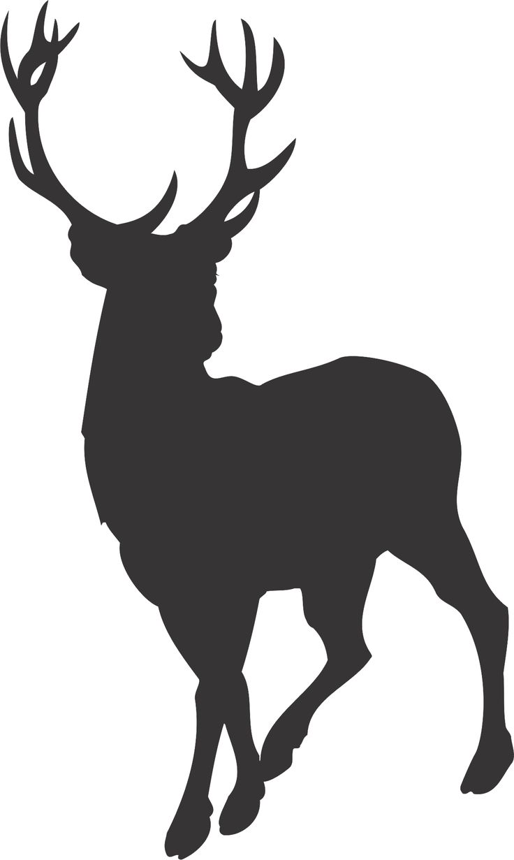 Silhouette of a majestic stag with large antlers in profile, standing alert against a white background.