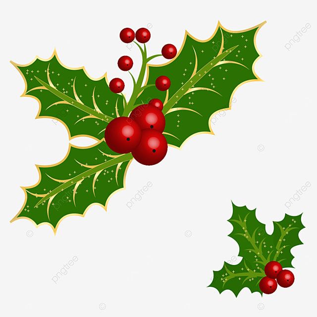 Christmas Holly Berry Clipart Vector, Christmas Holly Berry Leaves