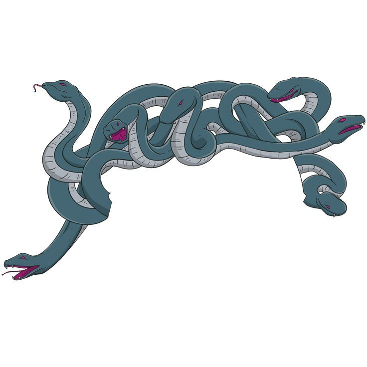 Multi-Headed Serpent Illustration - Mythical Creature Art