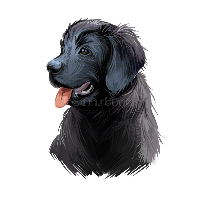 Black Newfoundland Dog Portrait - Friendly & Majestic Canine Art