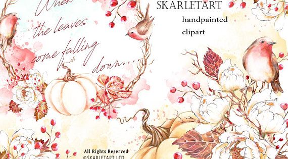 Handpainted autumn clipart with robins, pumpkins, berries, and falling leaves in watercolor style by SKARLETART.