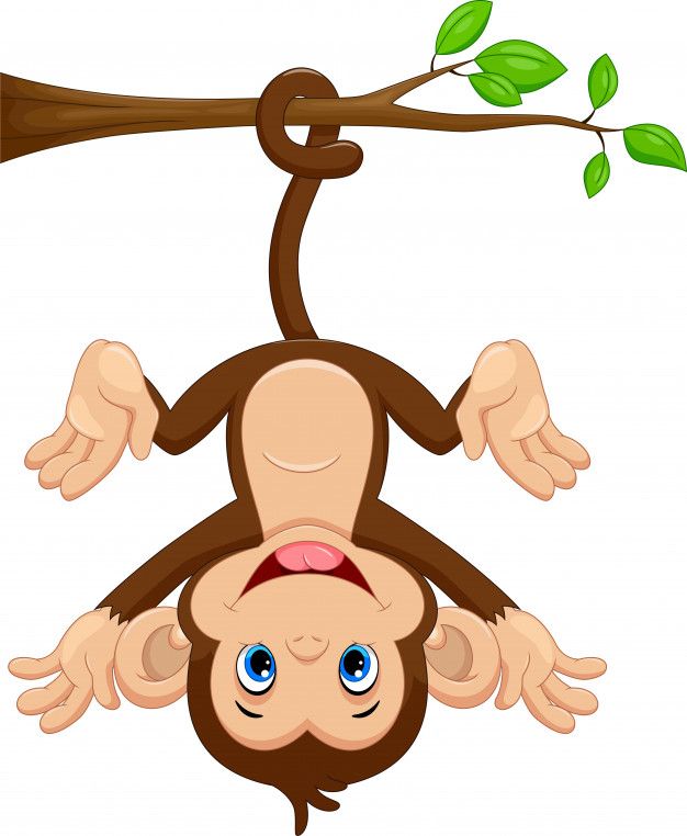 Safari Clipart Monkey - Macaco Safari Desenho - (2203x2402) Png