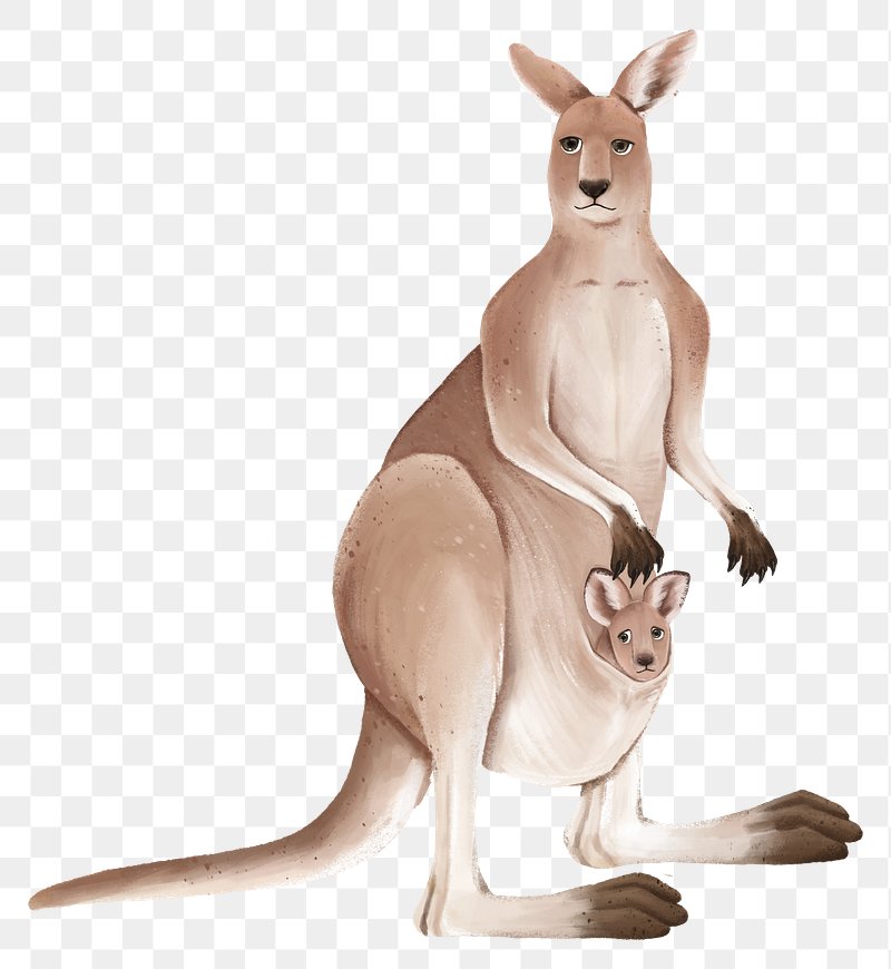 Premium Vector | Cartoon mother kangaroo and her baby - Clip Art Library