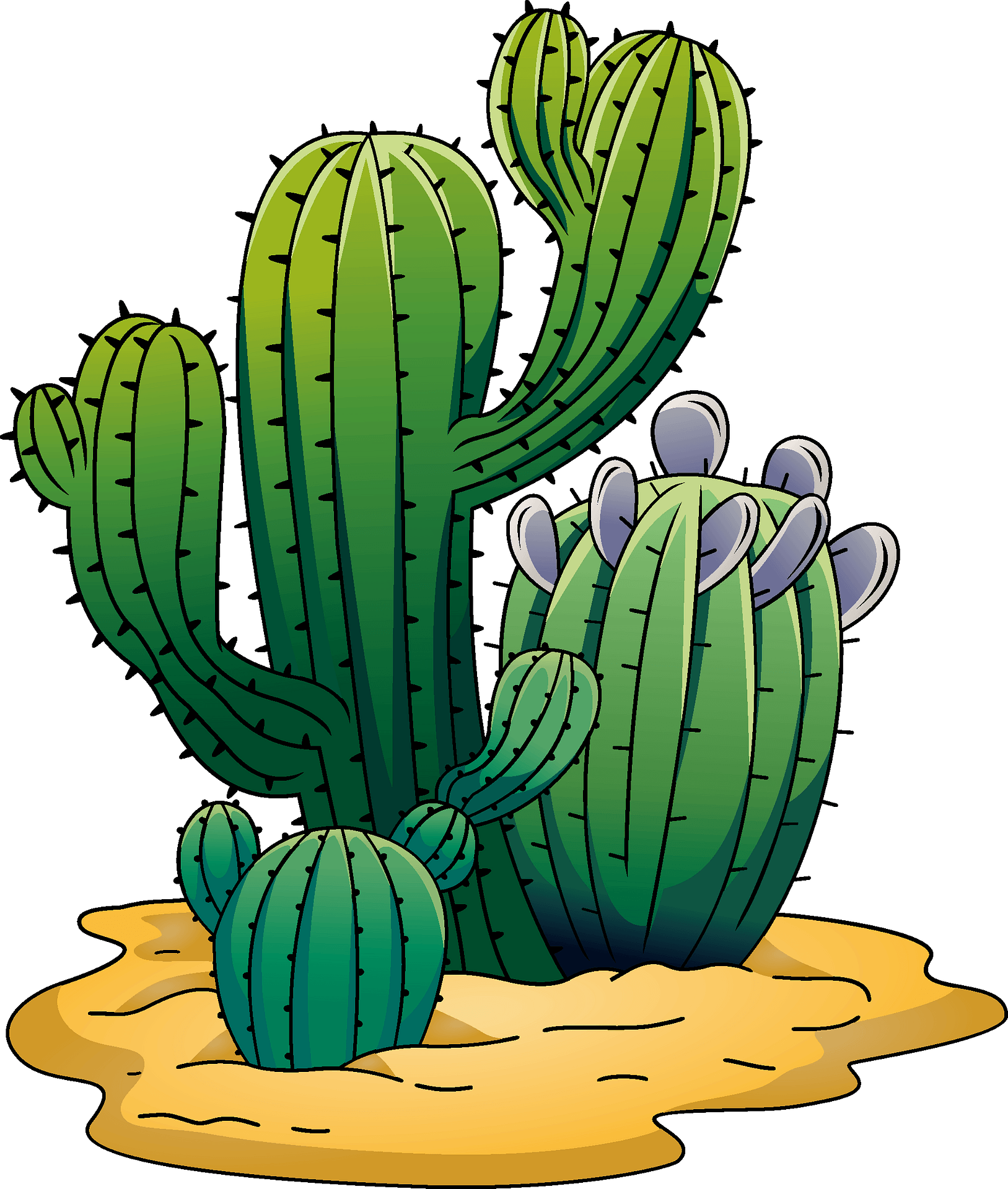 Cactus Clipart Images | Free Download | PNG Transparent Background ...