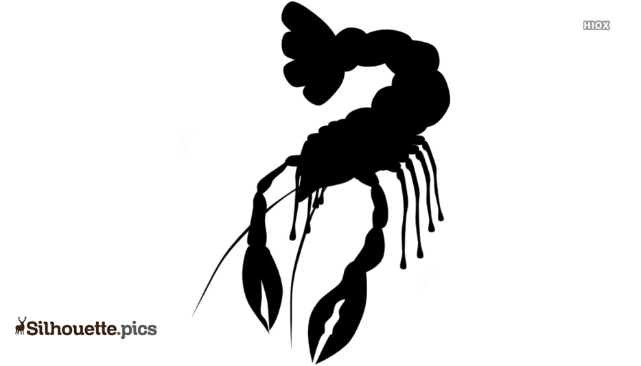 Black silhouette of a lobster with raised tail and open claws on white background.