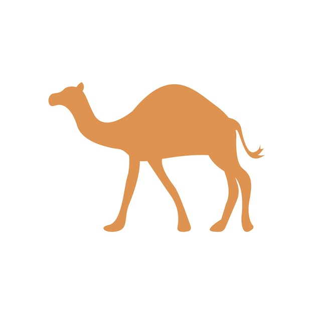 Orange silhouette of a walking camel with one hump, stylized and minimalist on white background.