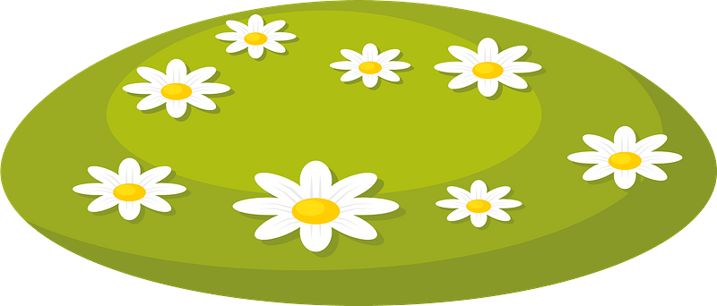 A cheerful cartoon-style illustration of white daisies with yellow centers scattered across a green oval lawn.