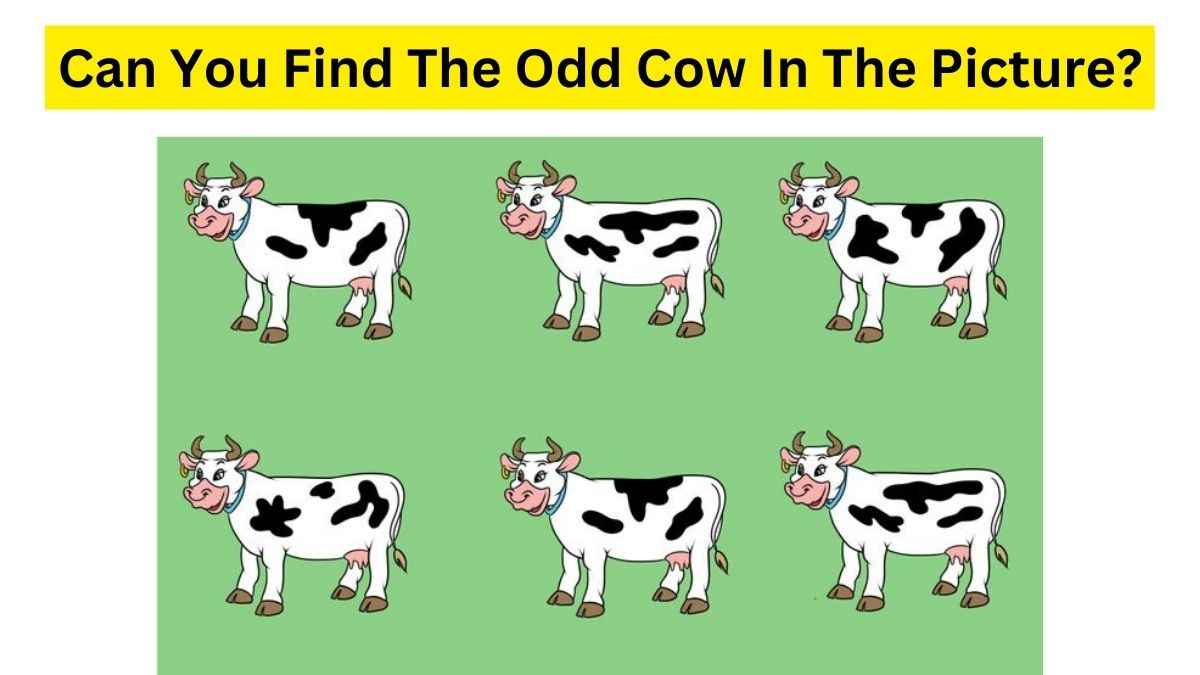 Eating cow brains 5683234