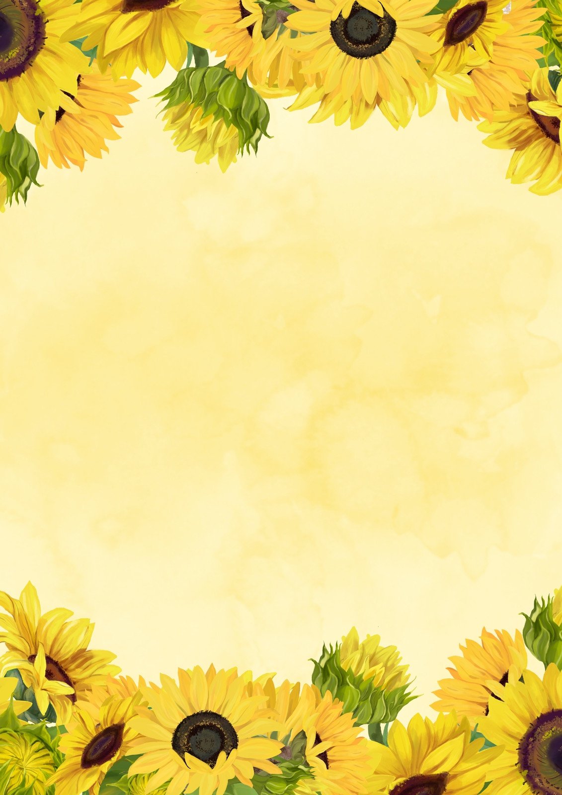 Sunflower Clipart Vector Art Icons And Graphics For Free Download